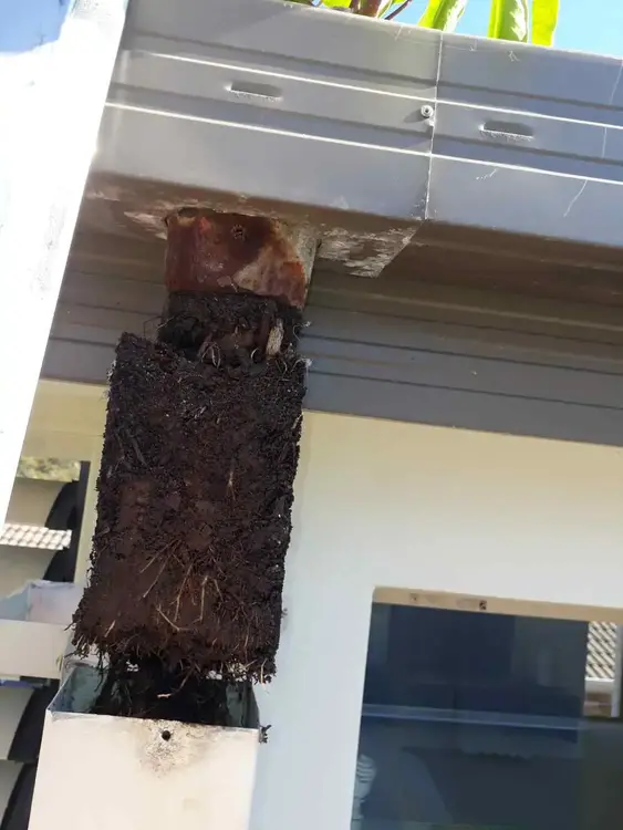 Downpipe blocked with a root mass before a Guttermen repair