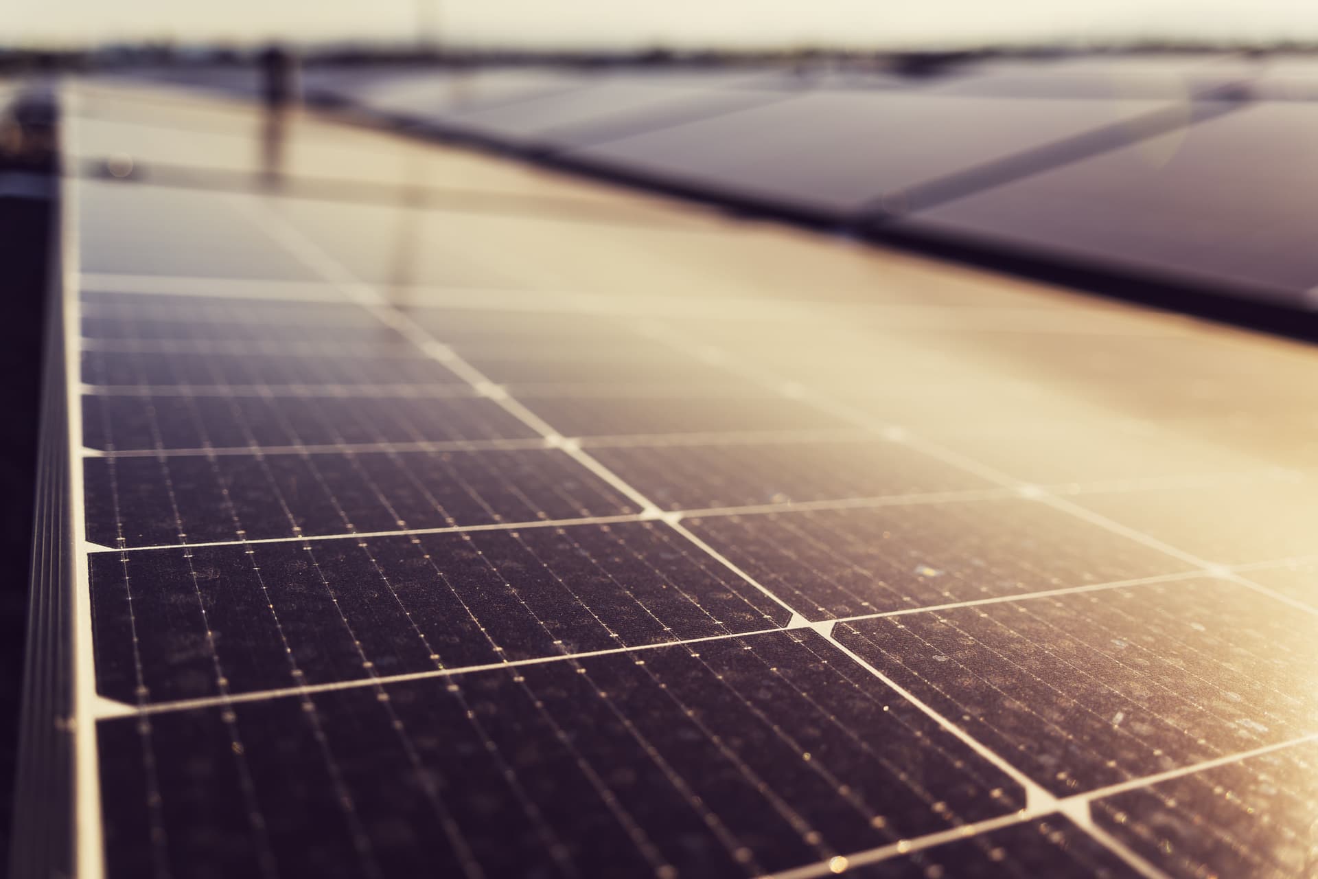 Close-up of solar cells showing the surface dust and grime that quietly reduces output.